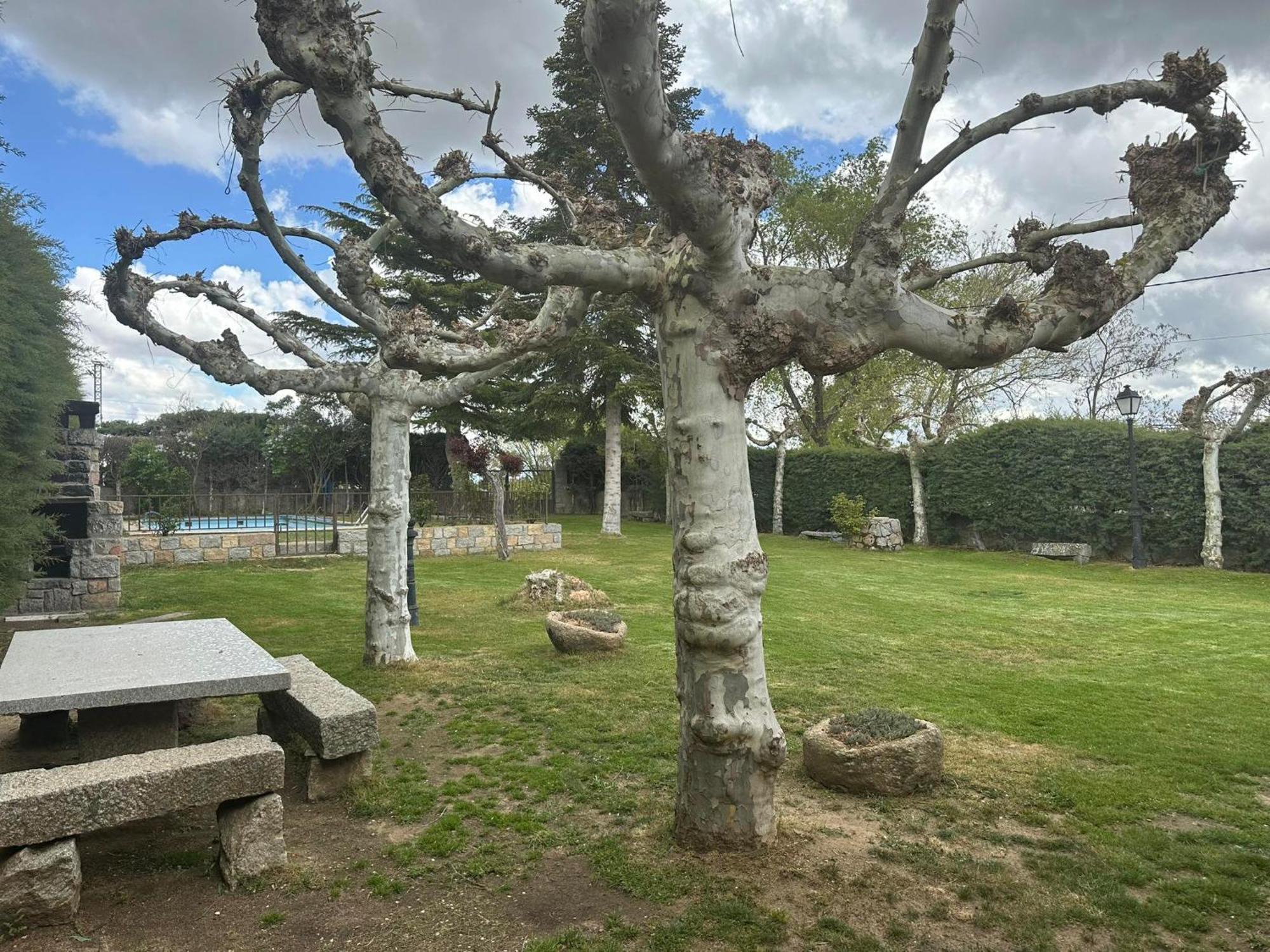 La Serrada Casa Rural El Cordel المظهر الخارجي الصورة